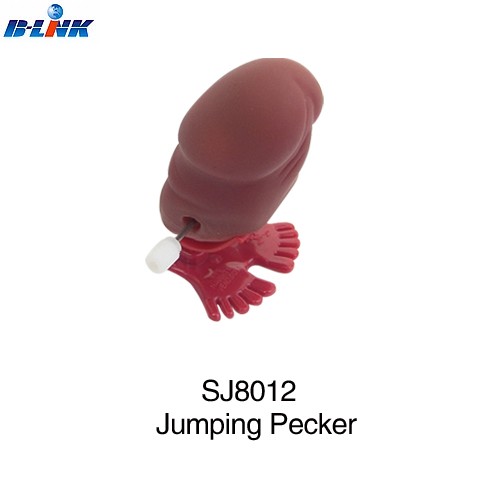 147-SJ8012