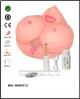 9-BM-00900T22